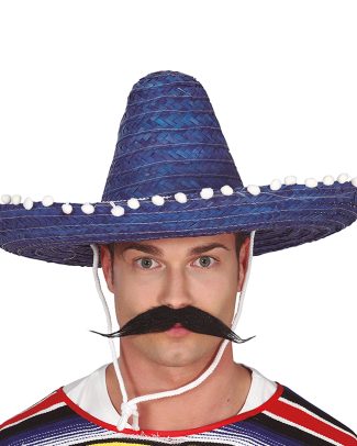 Mexicaanse Sombrero hoed voor heren - carnaval/verkleed accessoires - blauw