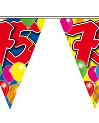 Vlaggenlijn balloons 75 jaar - 10 meter