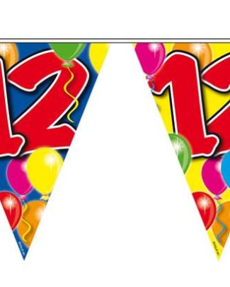 Vlaggenlijn Balloons 12 Jaar - 10 meter