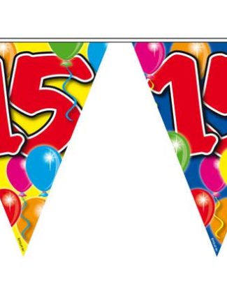 Vlaggenlijn Balloons 15 Jaar - 10 meter
