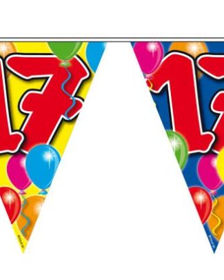 17 Jaar Slinger Balloons - 10 meter