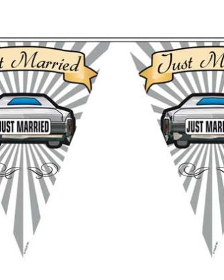 Vlaggenlijn Just Married 6mtr