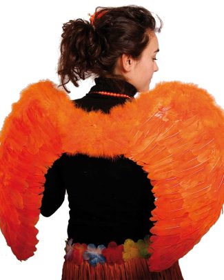 Oranje Vleugels met Veren 80x56 cm