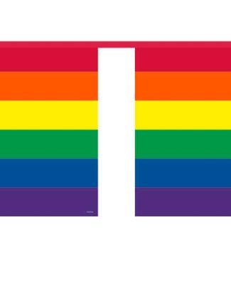 Regenboog Vlaggenlijn Vierkant - 10 meter