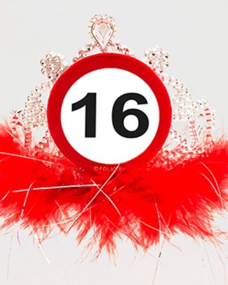 16 Jaar Tiara Verkeersbord