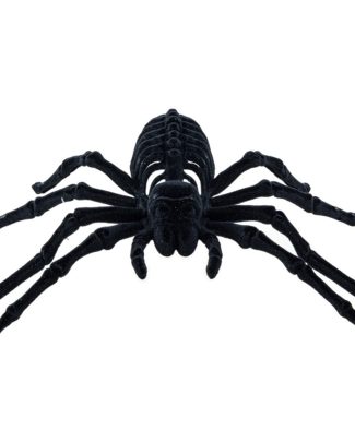 Spin skelet 22 cm - zwart - velvet/fluweel tarantula - Horror/griezel thema decoratie beestjes