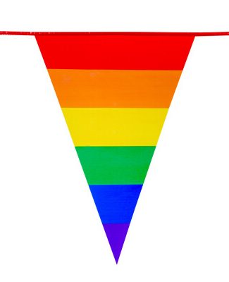 Vlaggenlijn XL Regenboog-8m