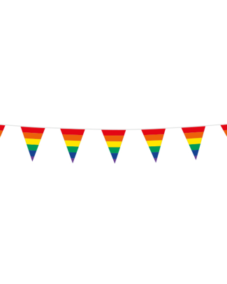 Regenboog Mini Vlaggenlijn - 3 meter