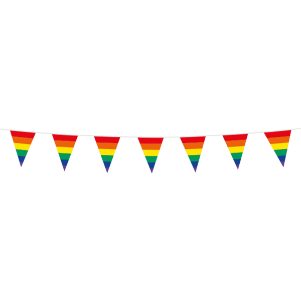 Regenboog Mini Vlaggenlijn - 3 meter