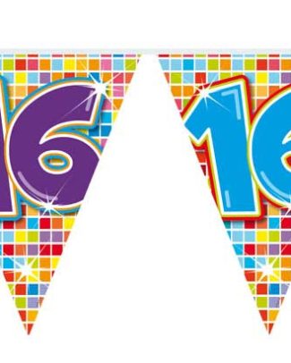 16 Jaar Mini Vlaggenlijn Birthday Blocks - 3 meter