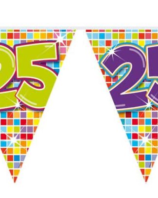 25 Jaar Mini Vlaggenlijn Birthday Blocks - 3 meter
