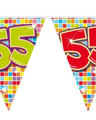 55 jaar mini vlaggenlijn blocks - 3 meter