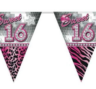 Sweet 16 Slinger - 10 meter