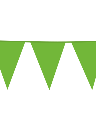 Lime Groene XL Vlaggenlijn - 10 meter