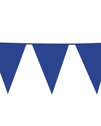 Blauwe XL Vlaggenlijn - 10 meter