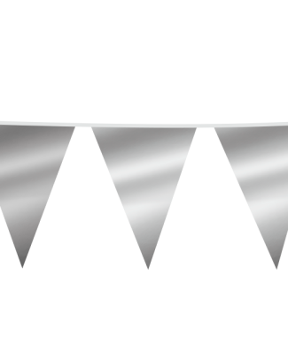Metallic zilveren XL Vlaggenlijn - 6 meter