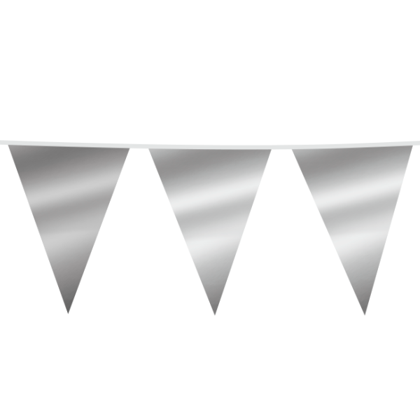 Metallic zilveren XL Vlaggenlijn - 6 meter