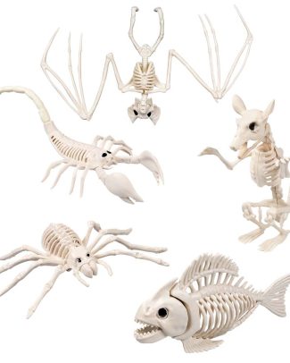 Dieren Skeletten Horror assorti