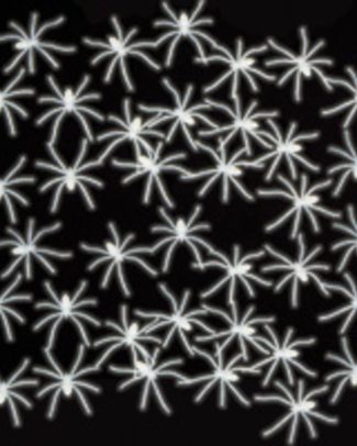 50x stuks Glow in the dark horror decoratie spinnen 4 x 5 cm