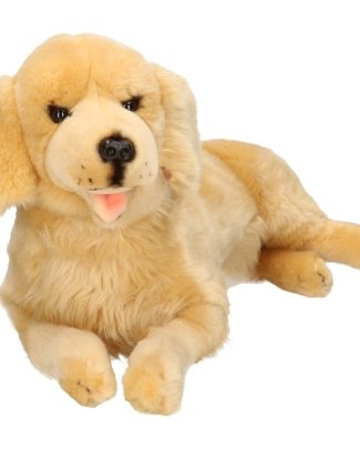 CarlDick Pluche Knuffeldier - Golden Retriever hond - premium kwaliteit knuffels - 42 cm
