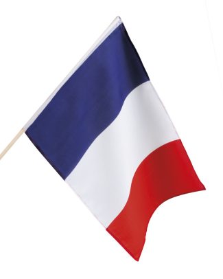 Zwaaivlag Frankrijk - 30x45cm