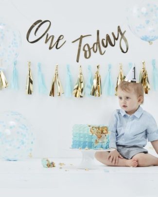 Cake Smash One - Blauw