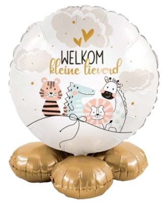 Ballon cadeau welkom kleine lieverd