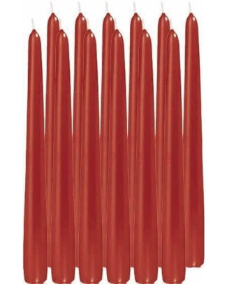 Enlightening Candles Dinerkaarsen - 12x stuks - rood - 8 branduren - 25 cm - kandelaar kaarsen
