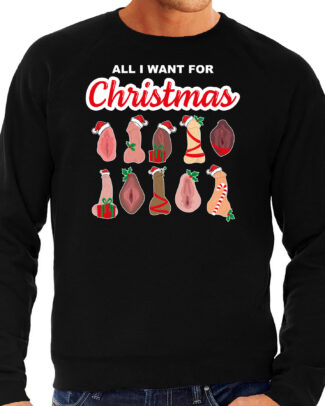 Foute kersttrui / sweater heren - All I want for Christmas - piemel/vagina - zwart