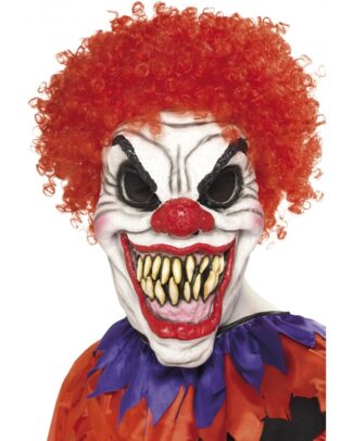 Eng clowns maskertje